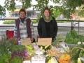 garden stall.jpg